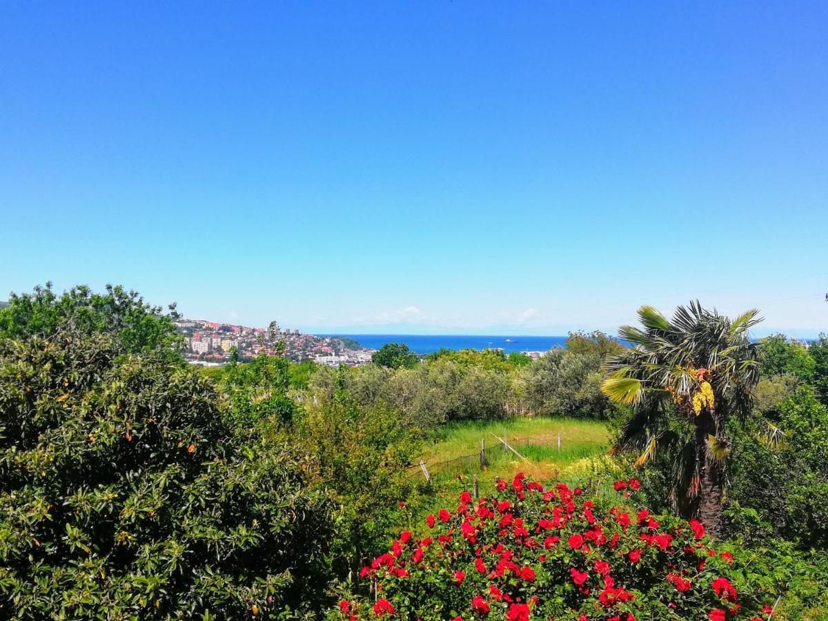 Peaceful View Apartment Копер Екстериор снимка