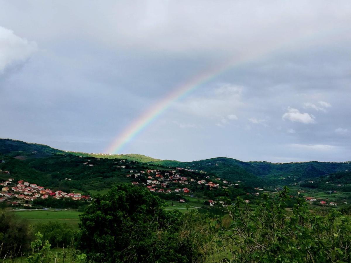 Peaceful View Apartment Копер Екстериор снимка