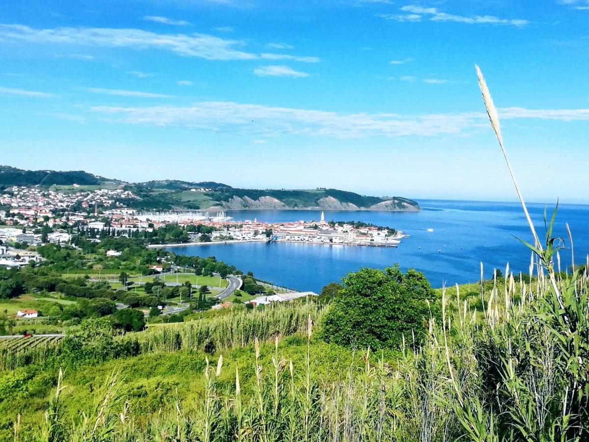 Peaceful View Apartment Копер Екстериор снимка