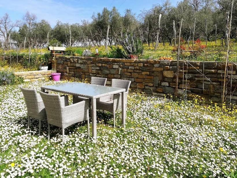 Peaceful View Apartment Копер Екстериор снимка